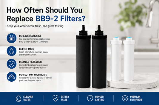 How Often Should You Replace BB9-2 Filters?