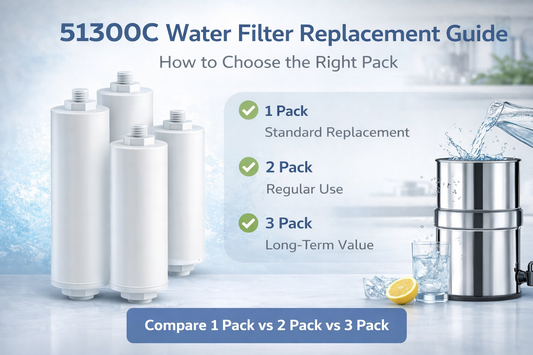 51300C Water Filter Replacement Guide: How to Choose the Right Pack